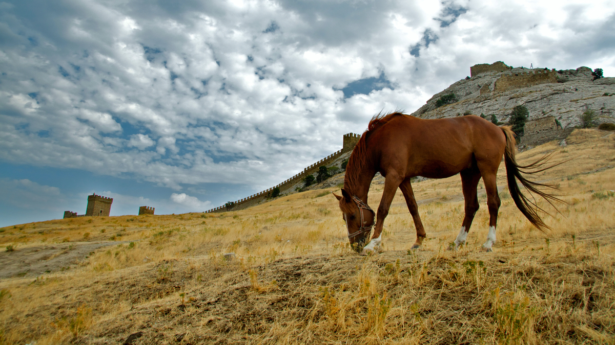 Осень, крепость, лошадь.