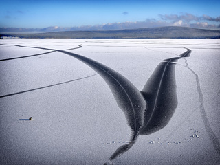 Последний лист.