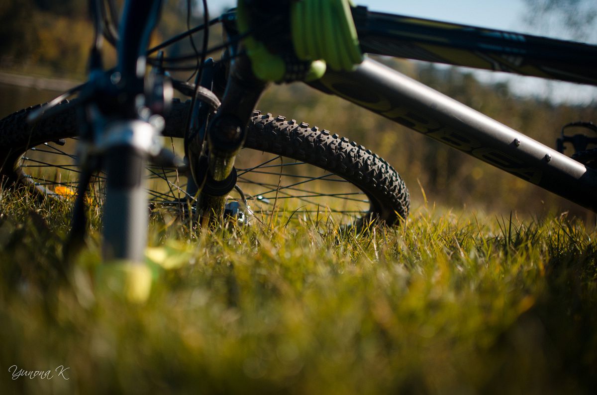 железный конь