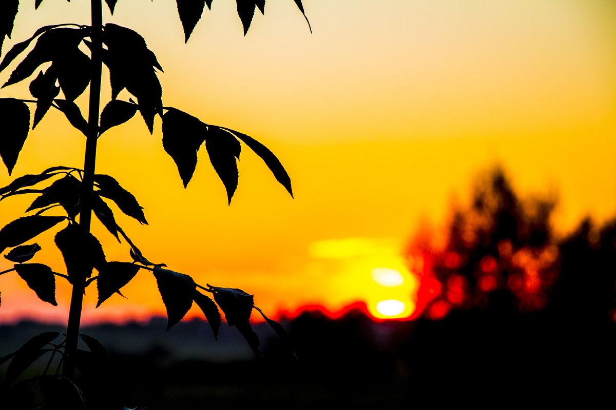 Палаючий захід