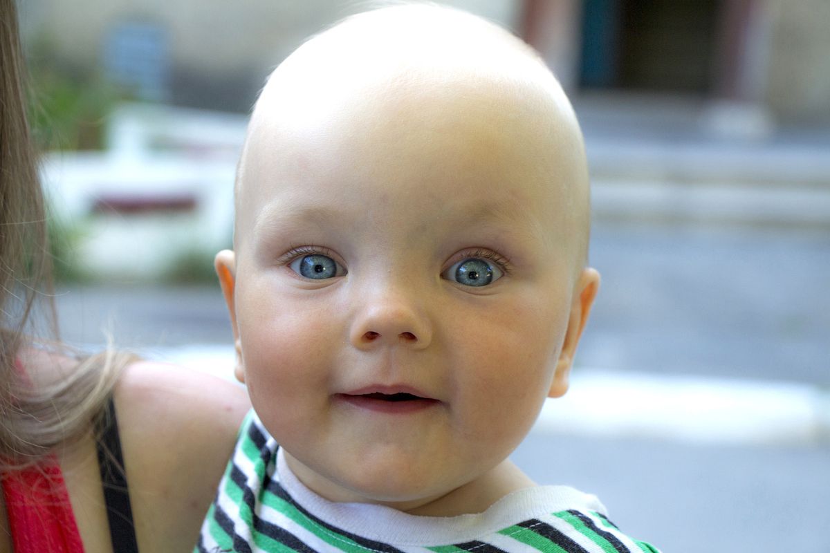 Непідробна цікавість