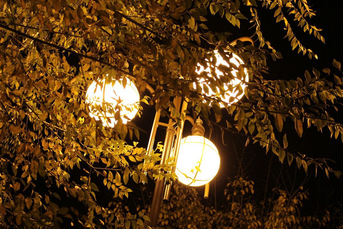 фонари ночного города