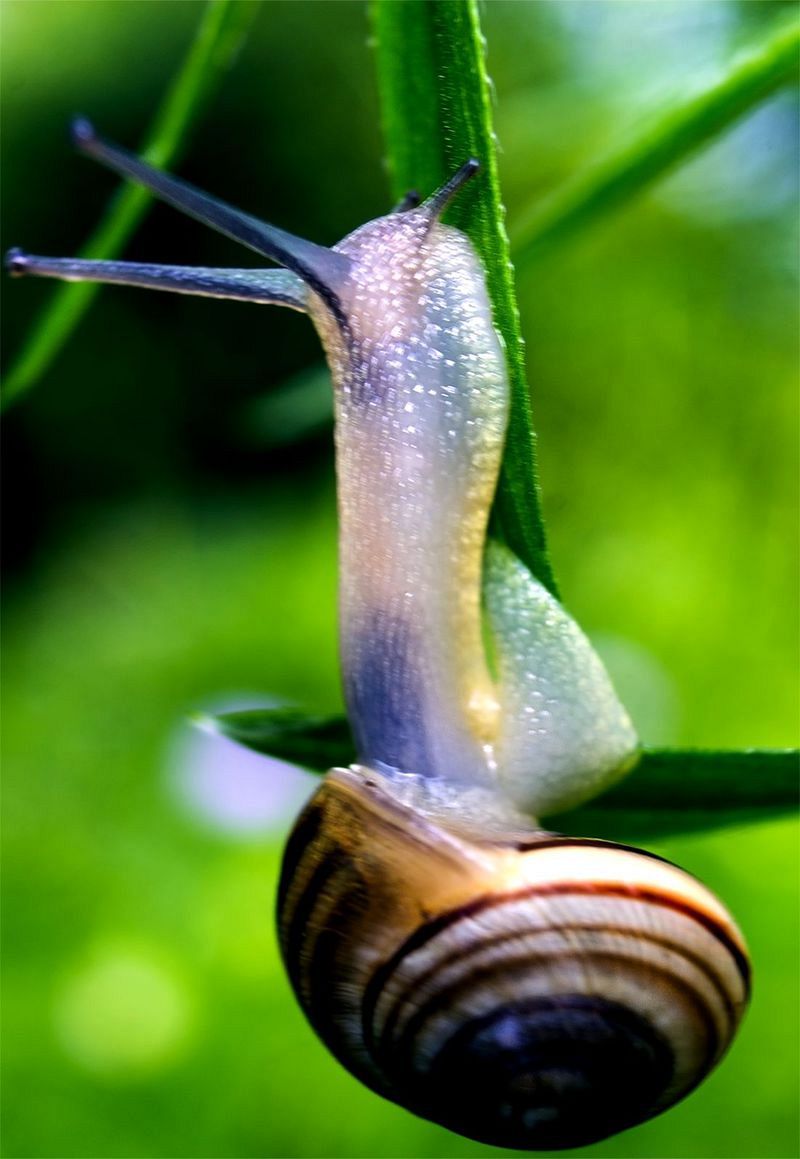 все выше и выше