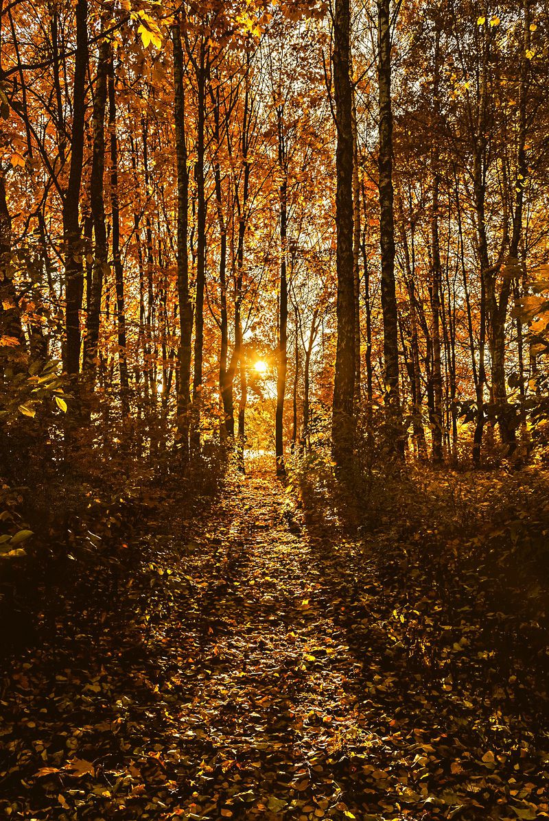 Вечерний закат.