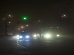 Містична Вишенька