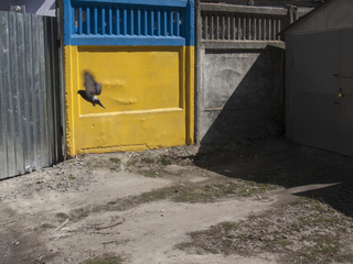 Неочікуваний колір