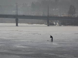 В пошуках здобичі
