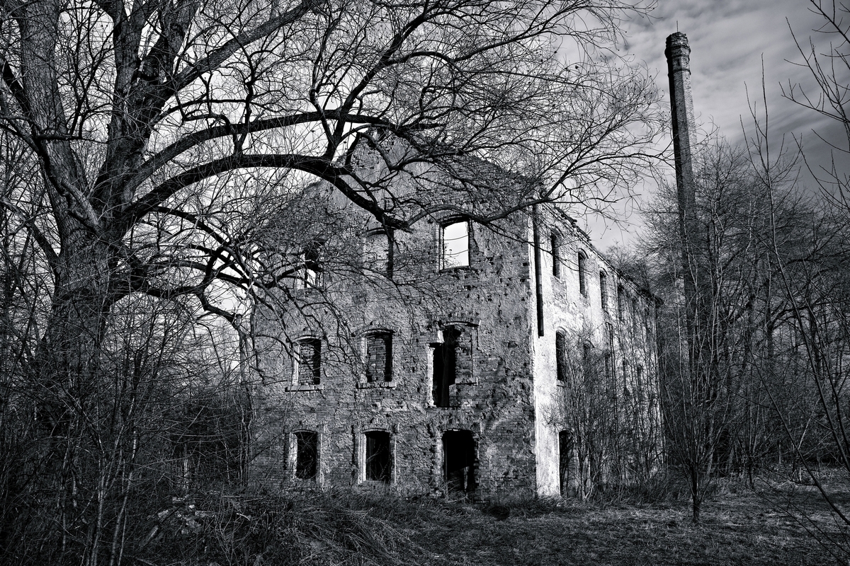forgotten mill