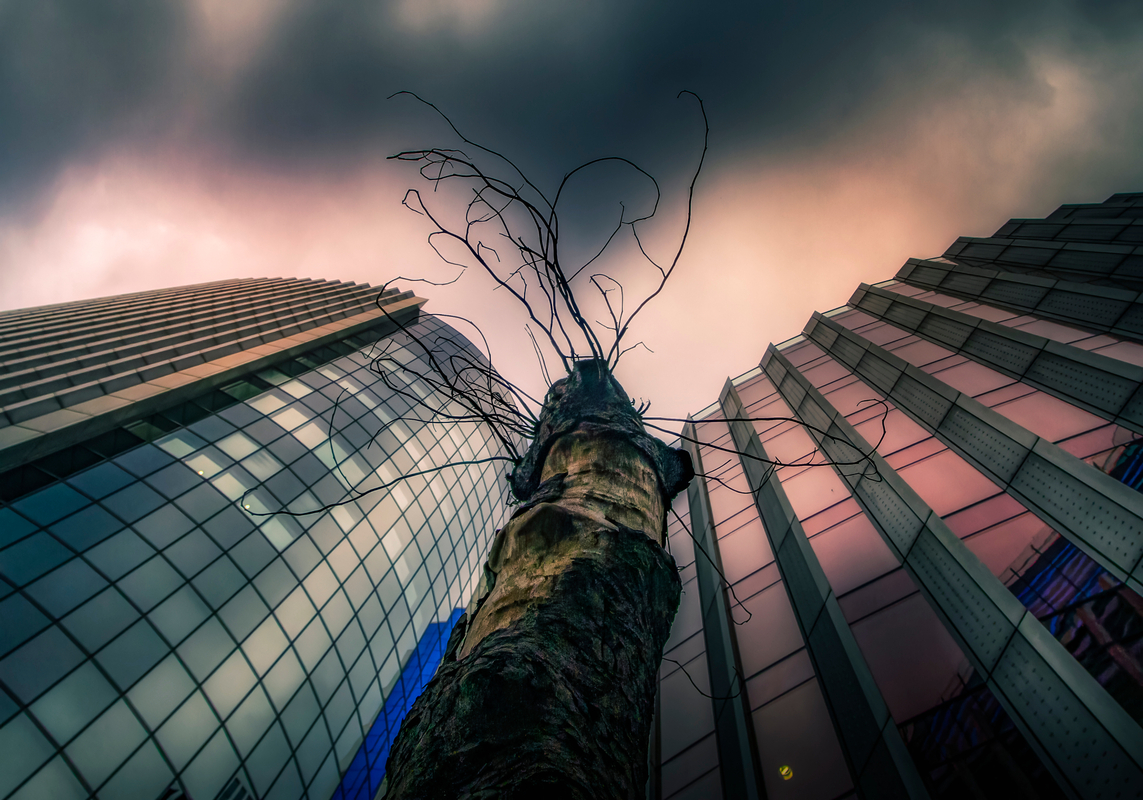 Alone in the shadow of giants