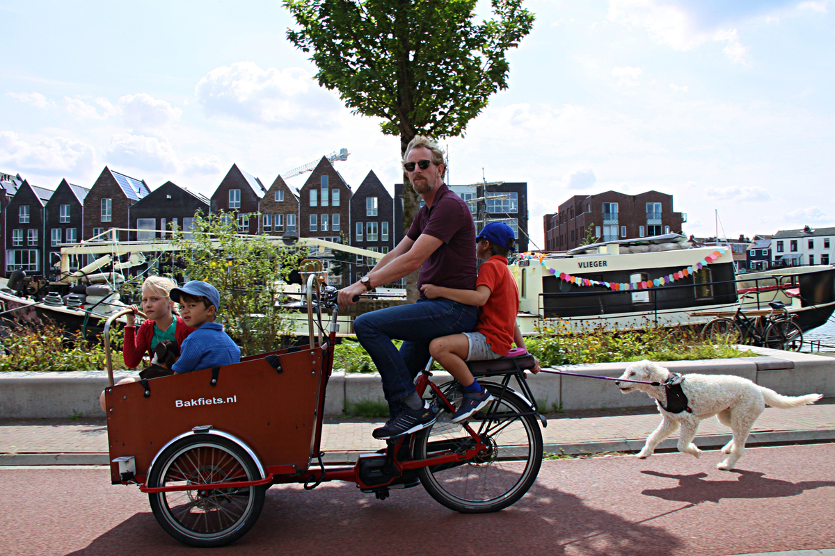 На прогулянку!