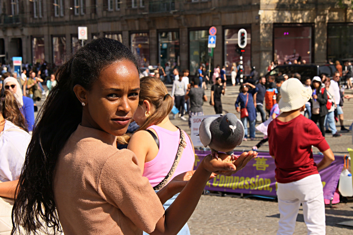 Там, де немає війни...