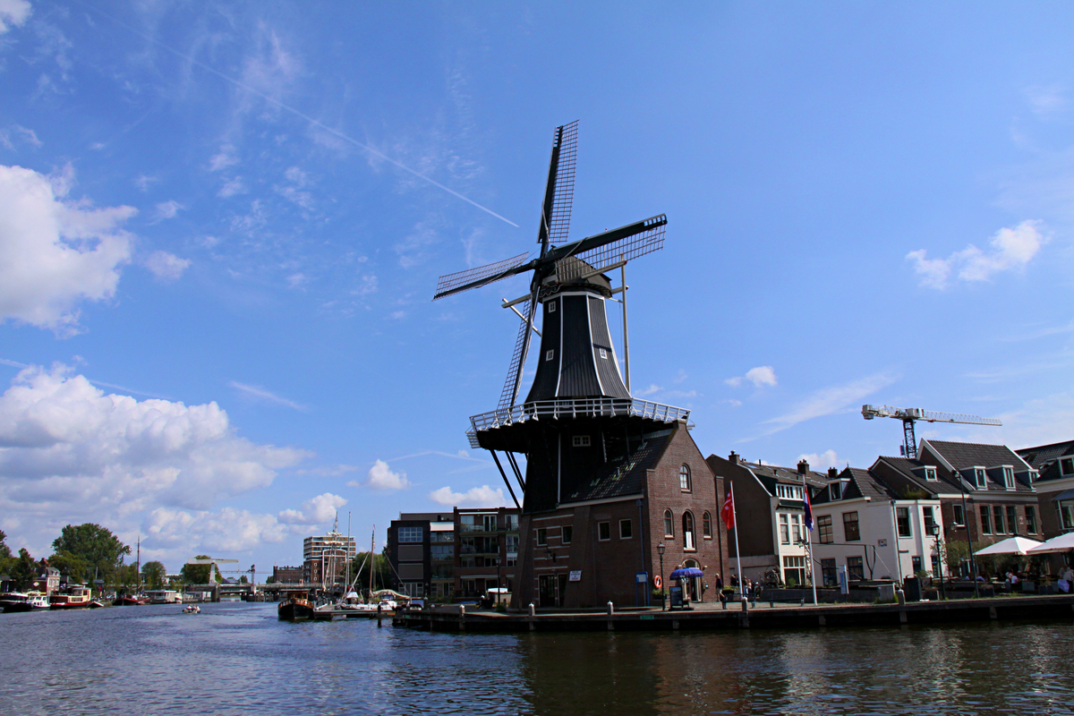 Нідердандські вітряки_1