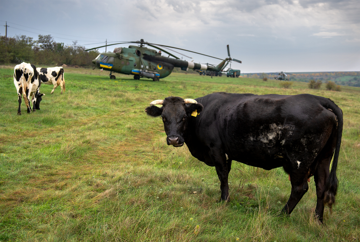 Військово-сільський краєвид.