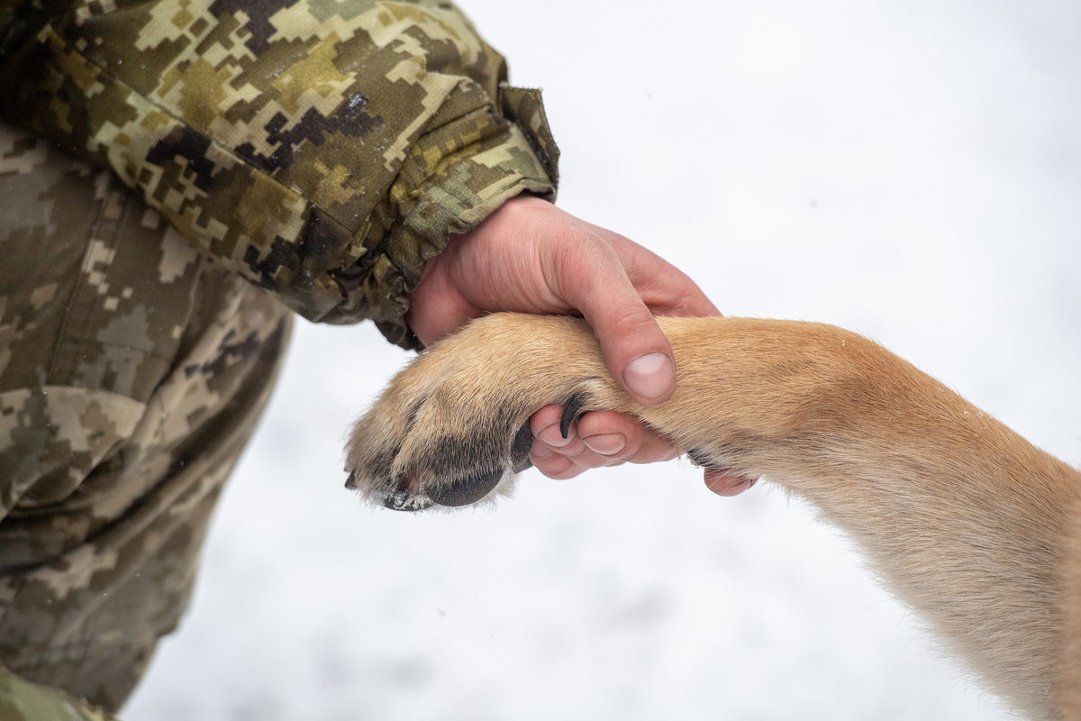 Розмінування. 7