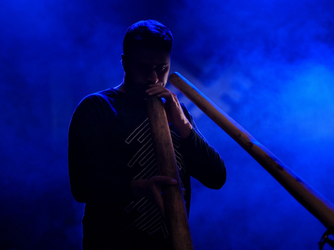 Pannonica festival 1