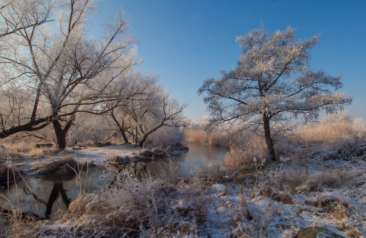 В св'ятковому вбрані