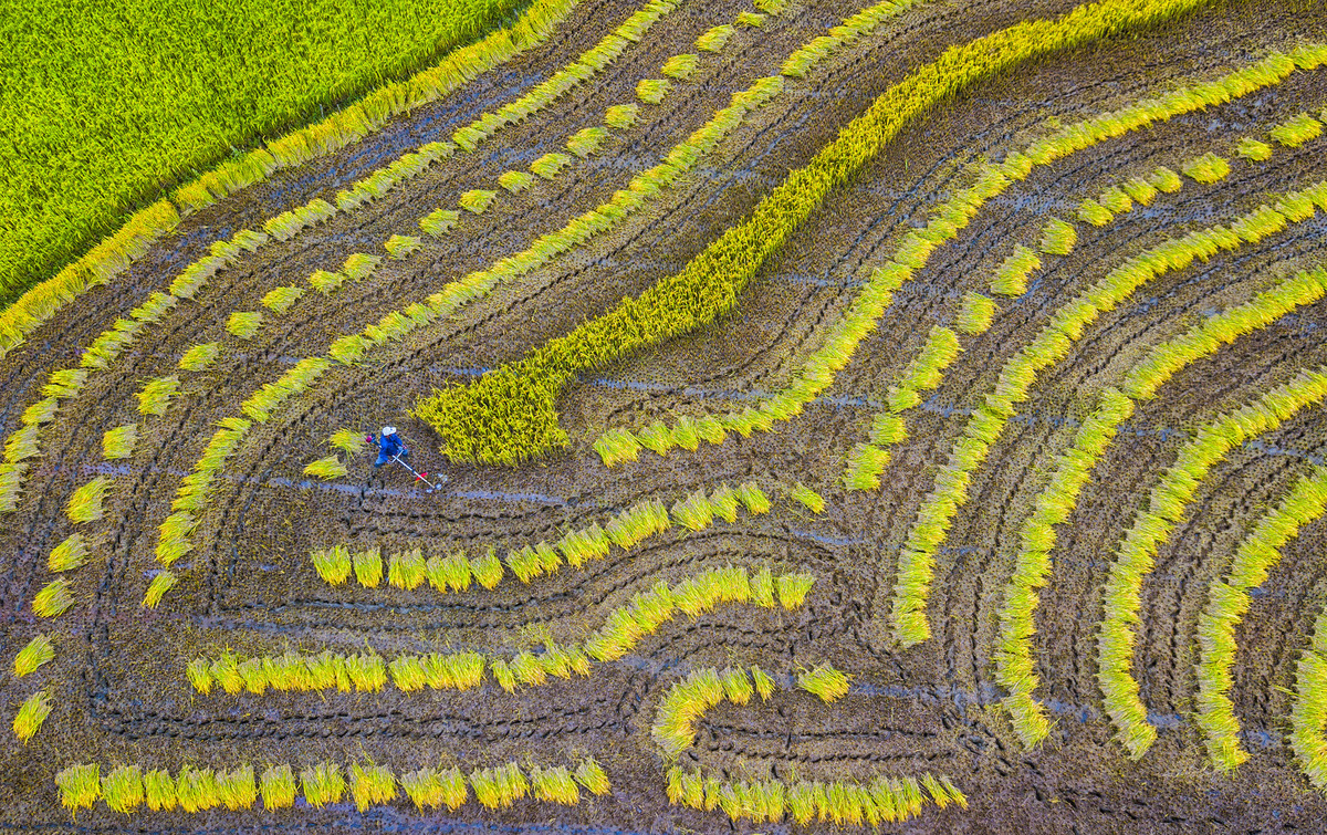 Painter in the field