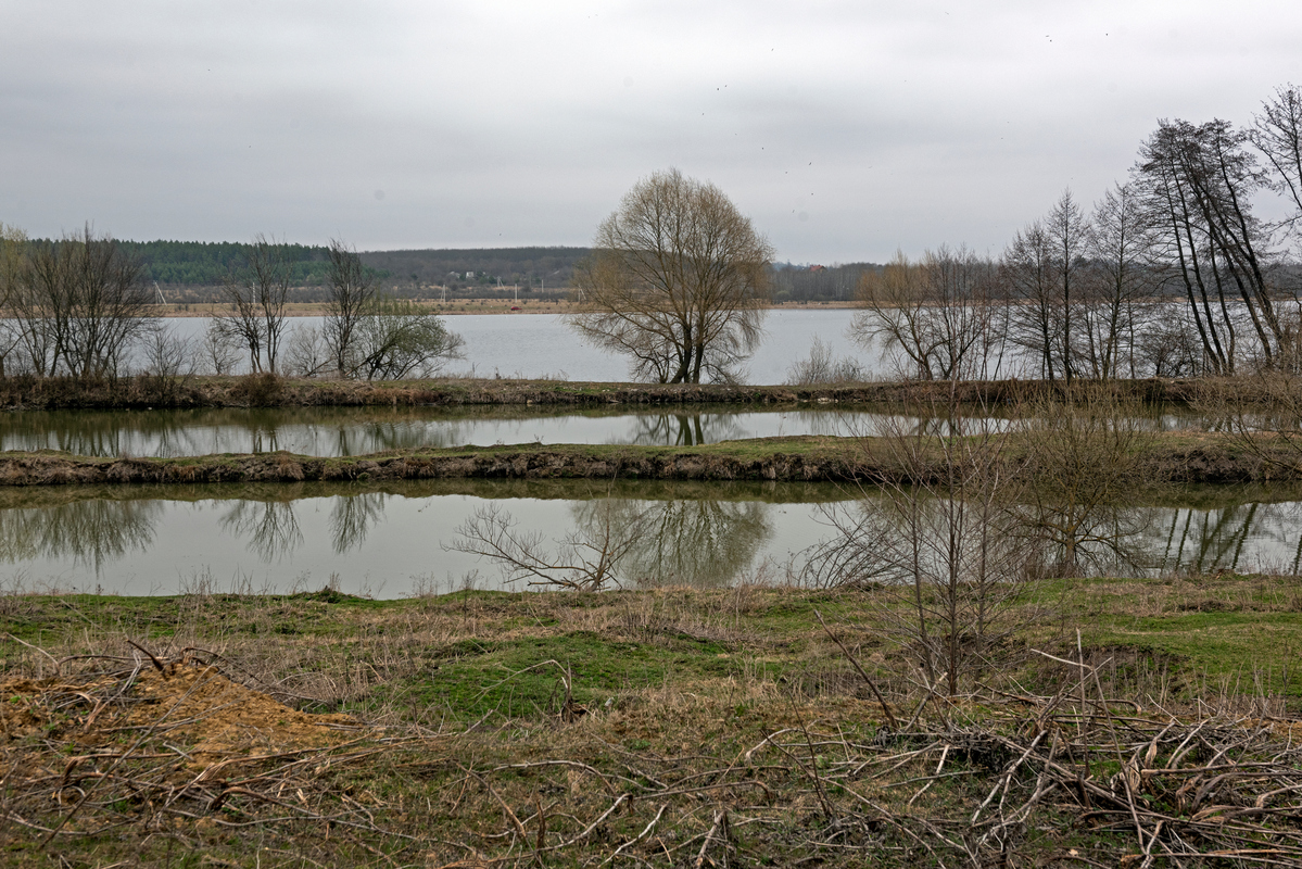 Головченци