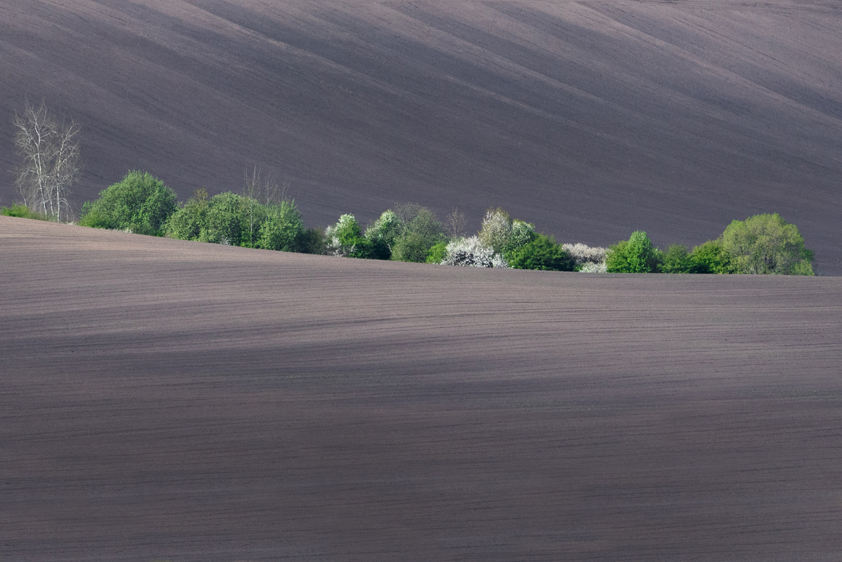 Стіцкі пейзажі