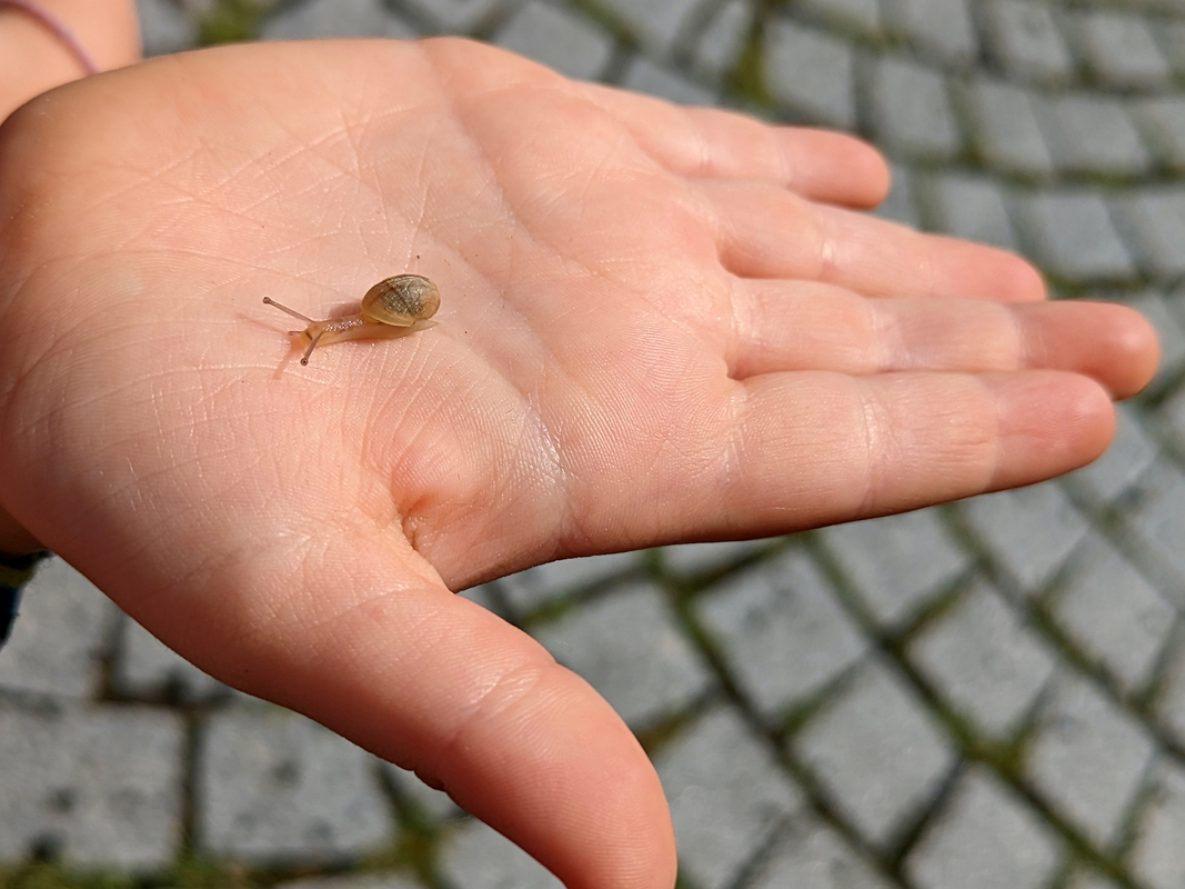 Будьте уважні!