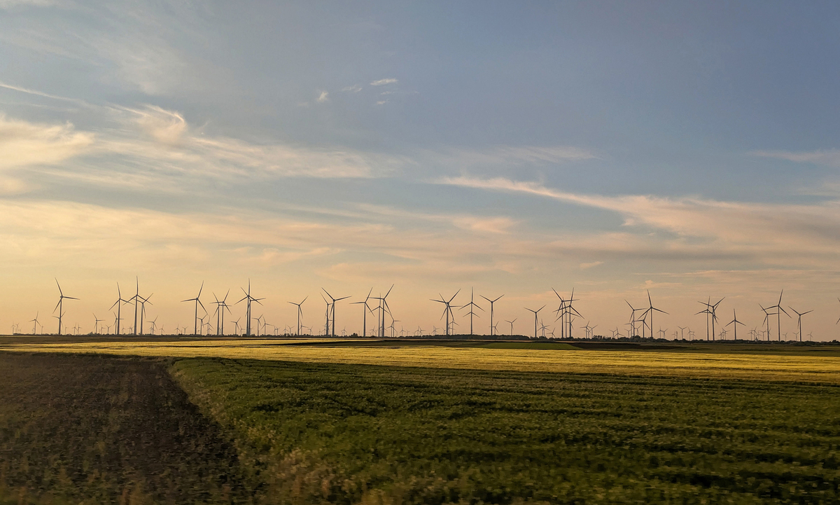 З вікна поїзда_01