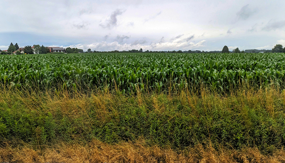 З вікна поїзда_03