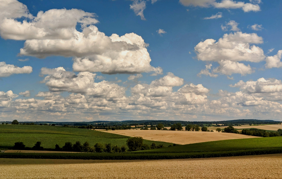 З вікна поїзда_04