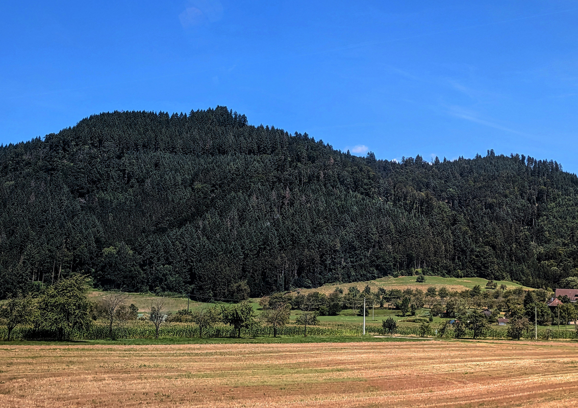 З вікна поїзда_05