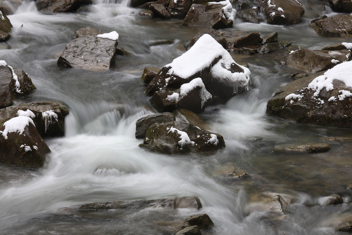 Гірська річечка навесні