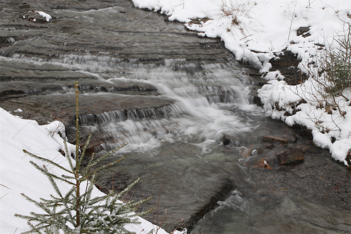 Гірська річечка навесні