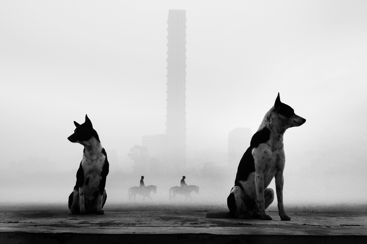 Misty Morning Whispers