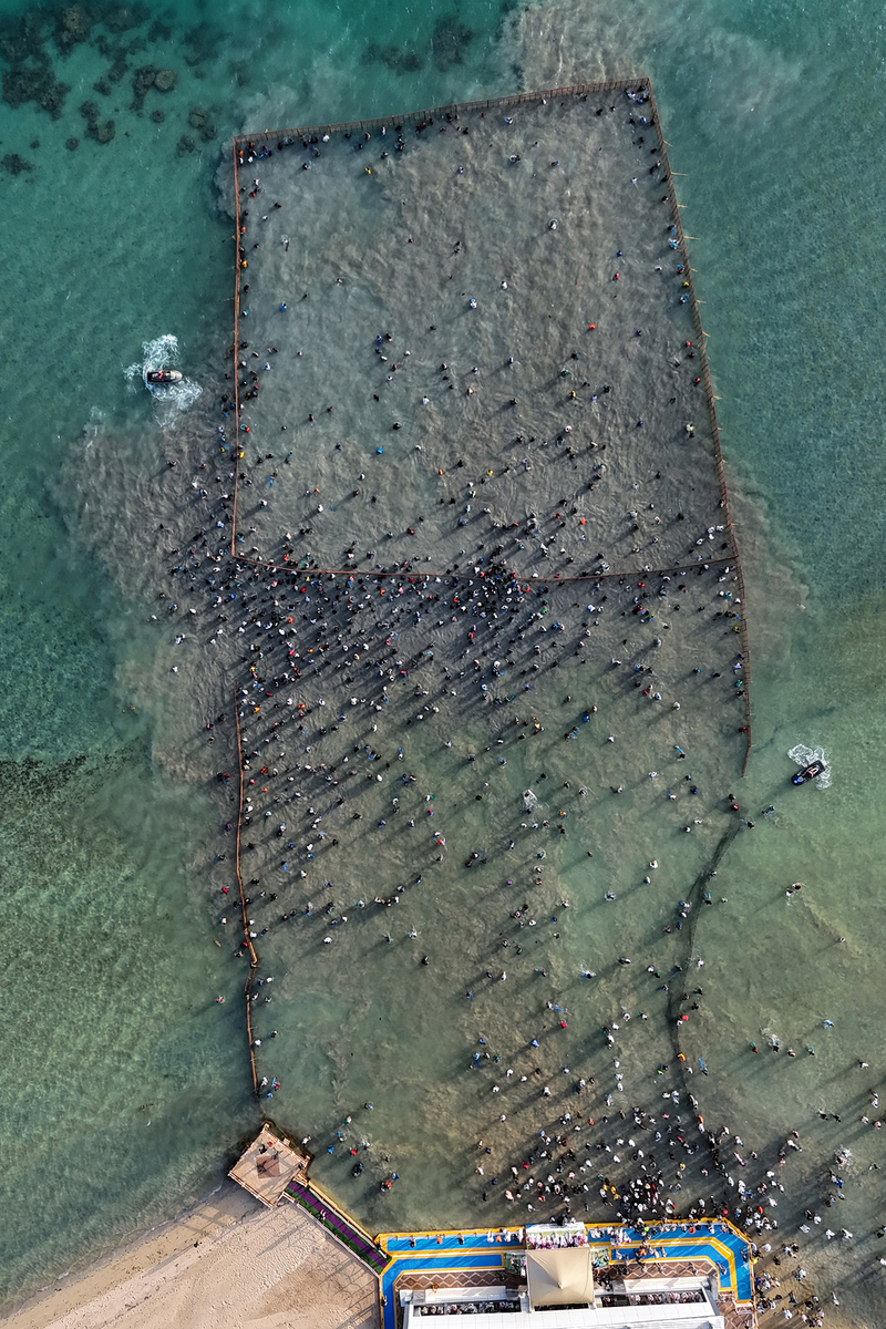 groups of competitors