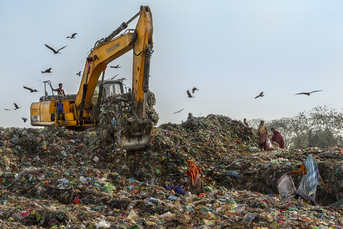 AMAL  Alameer / Recycling 2