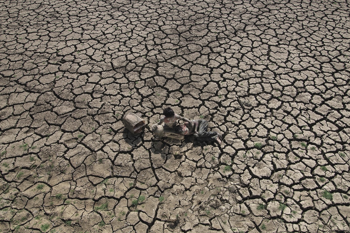 Drought and life 