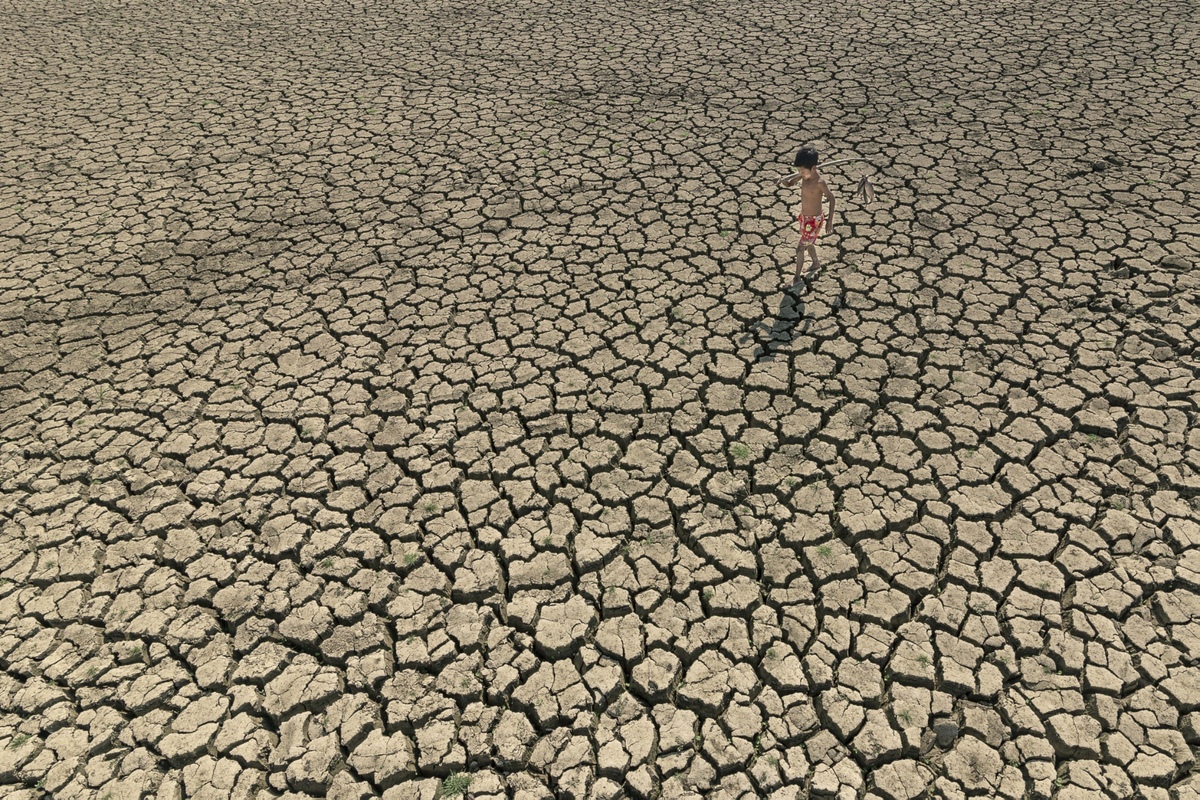 Drought and life