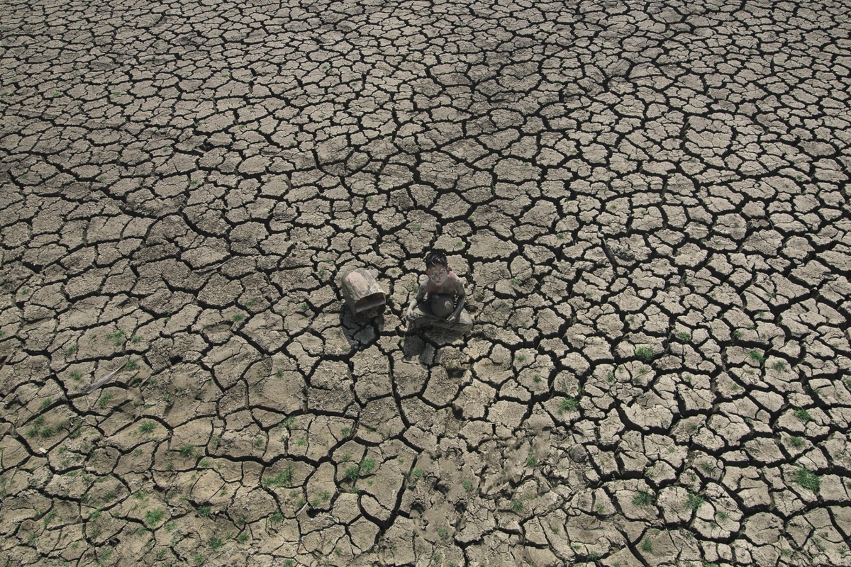 Drought and life