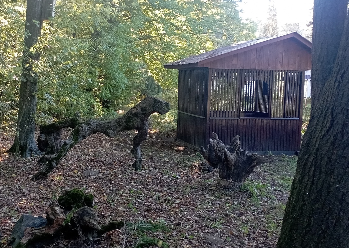 РµРєСЃРїРѕР·РёС†С–СЏ Р· РїРЅС–РІ