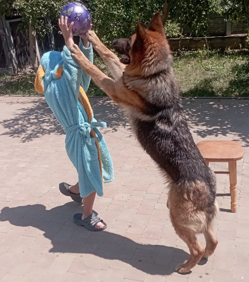 С‡РёР№ РјСЏС‡