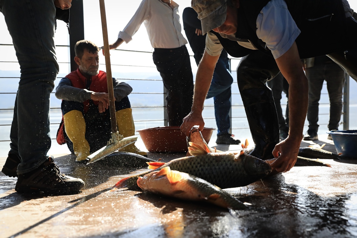 Fishermen Wholesale 2