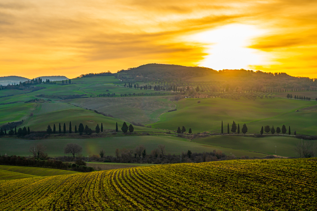 Tuscan sunset