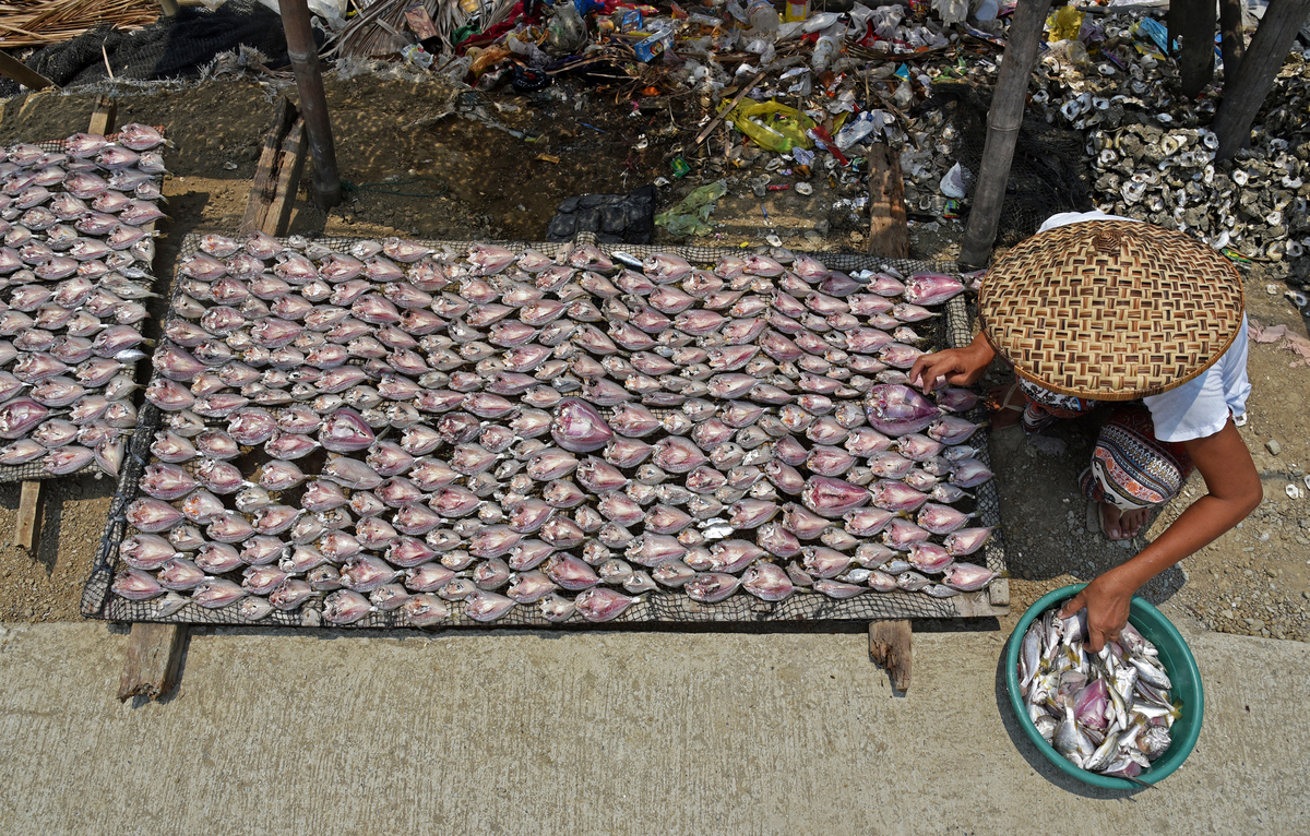 Dried Fish Processing