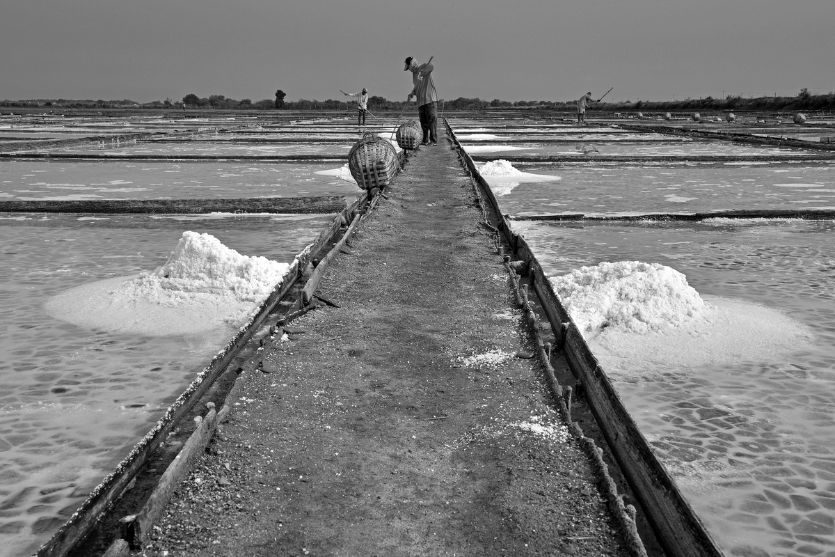 Salt Farming
