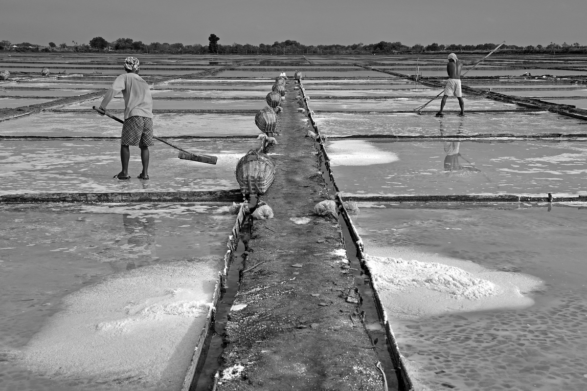 Salt Farming