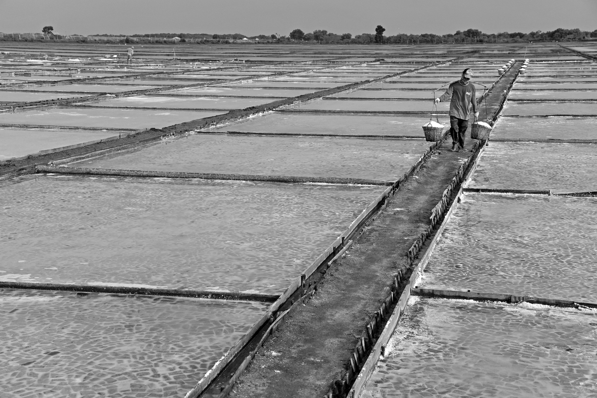 Salt Farming