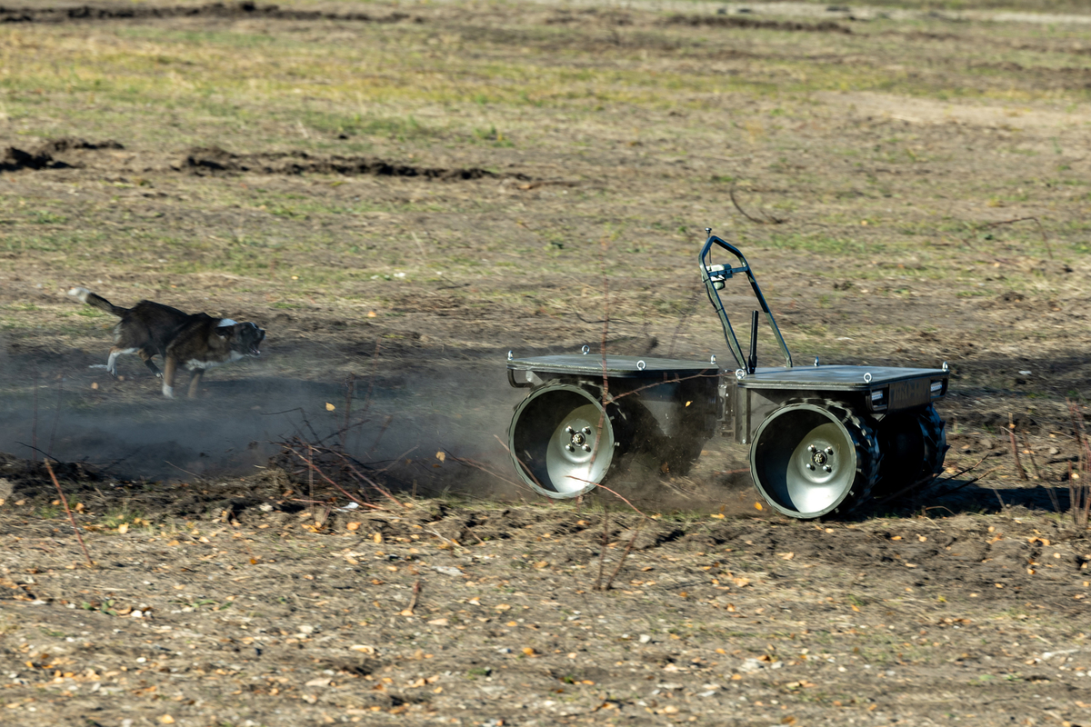 Навперегонки