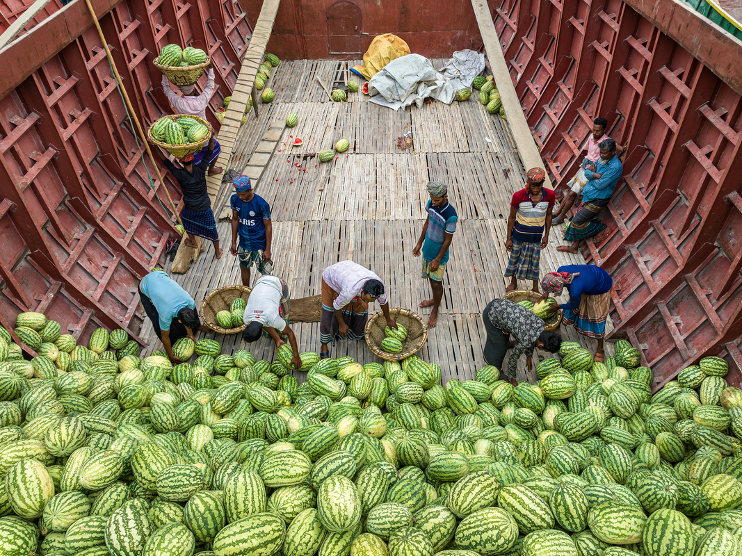 Trading of Watermelons at Sadrghat, Dhaka