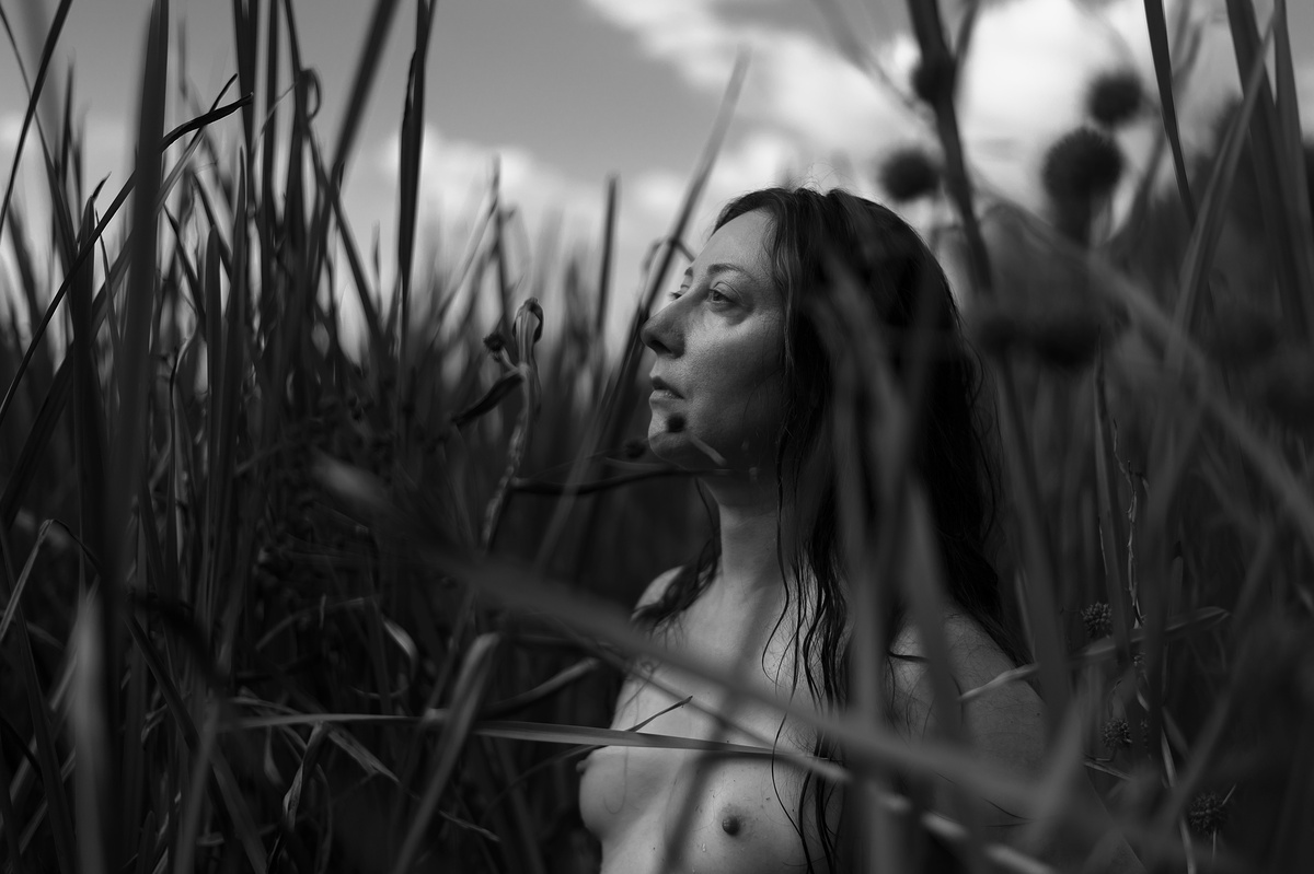 Природа єднання 2