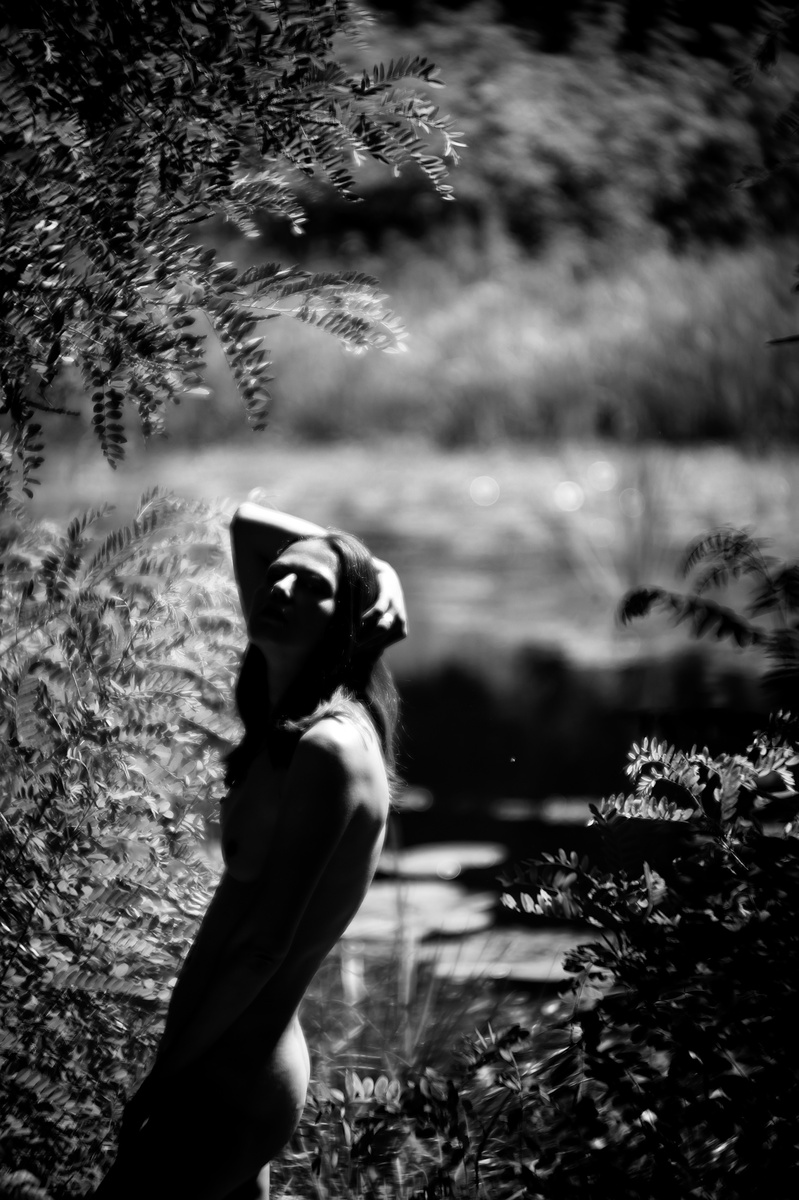 Природа єднання 3