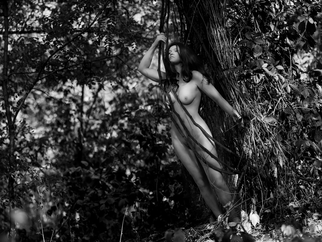 Природа єднання 4