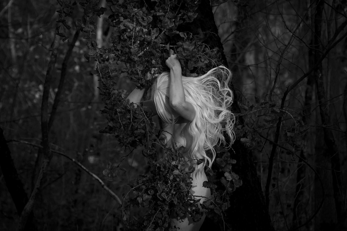 Природа єднання 7